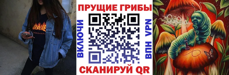 Псилоцибиновые грибы GOLDEN TEACHER  купить наркоту  Москва 